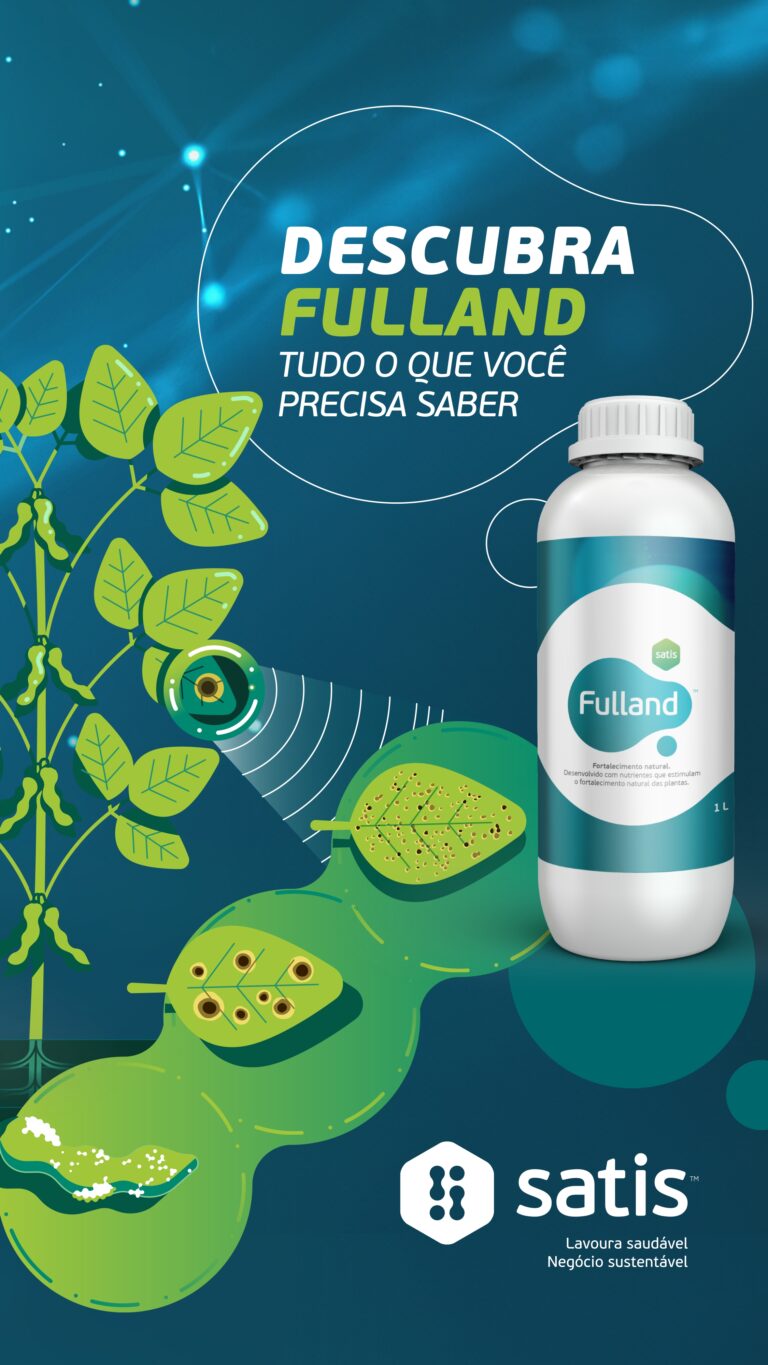 Infografia Fulland - Versão Final_page-0001