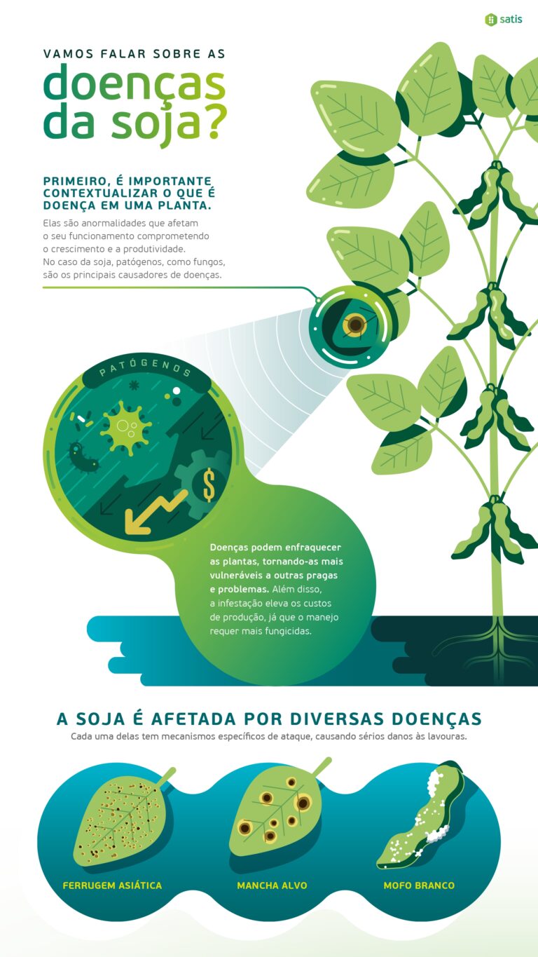 Infografia Fulland - Versão Final_page-0002