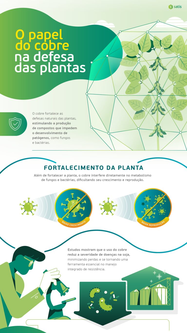 Infografia Fulland - Versão Final_page-0003