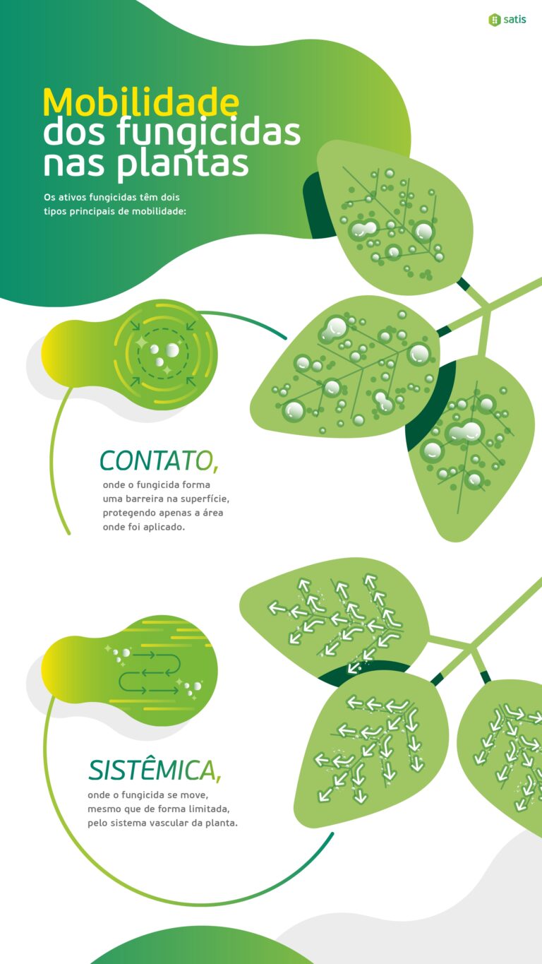 Infografia Fulland - Versão Final_page-0004