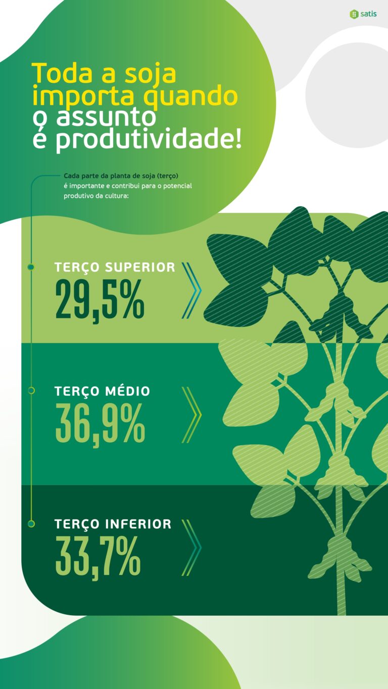 Infografia Fulland - Versão Final_page-0005
