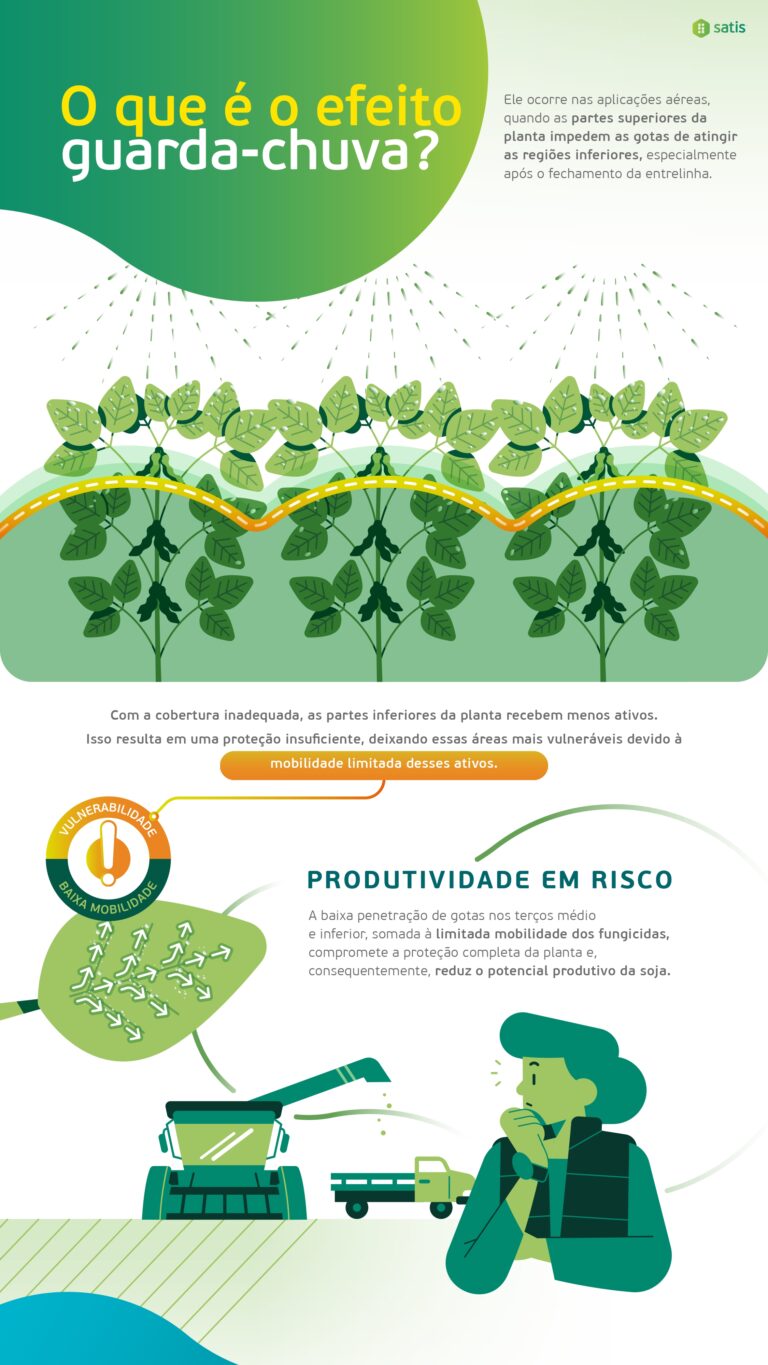 Infografia Fulland - Versão Final_page-0006