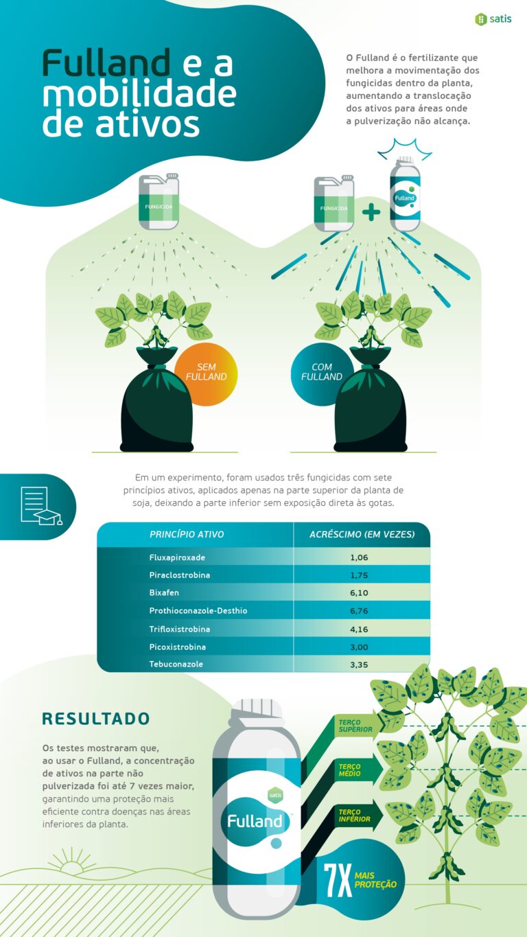 Infografia Fulland - Versão Final_page-0007