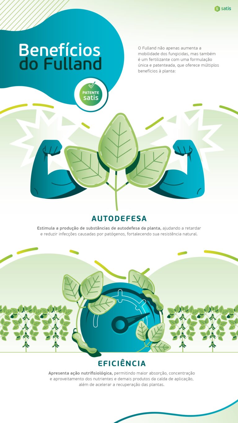 Infografia Fulland - Versão Final_page-0008