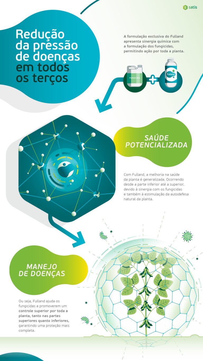 Infografia Fulland - Versão Final_page-0009